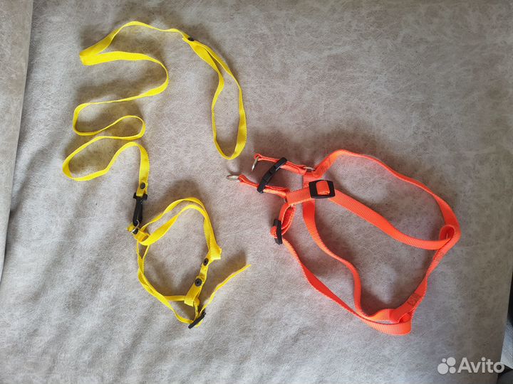 Комбинезон для собаки, поилка, шлейка