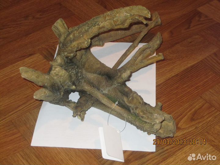 Продаю новую корягу для аквариума