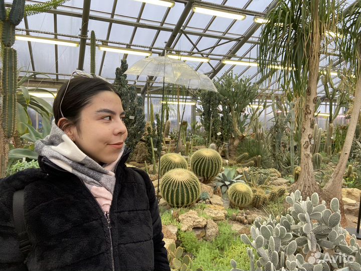 Репетитор по испанскому языка