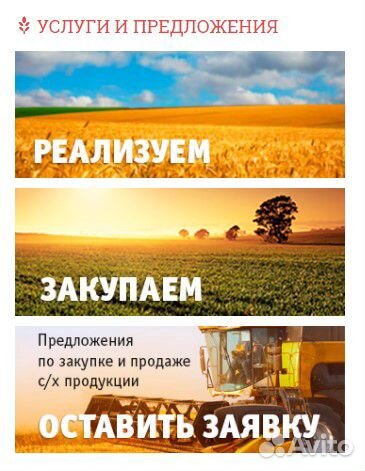 Жмых подсолнечный (опт)