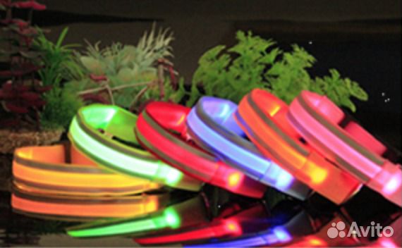 Светящиеся ошейники, фурминаторы