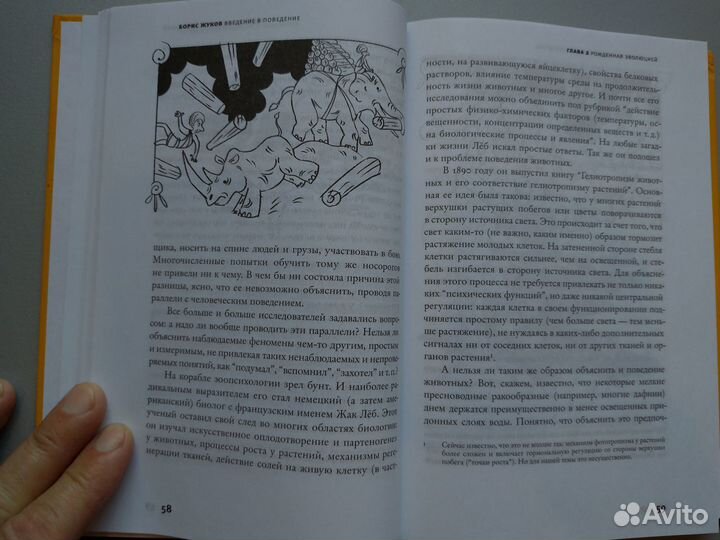 Книга Б. Жукова 