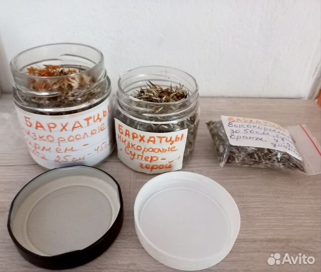 Бархатцы семена