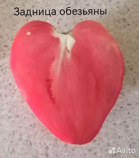 Семена сортовых томатов