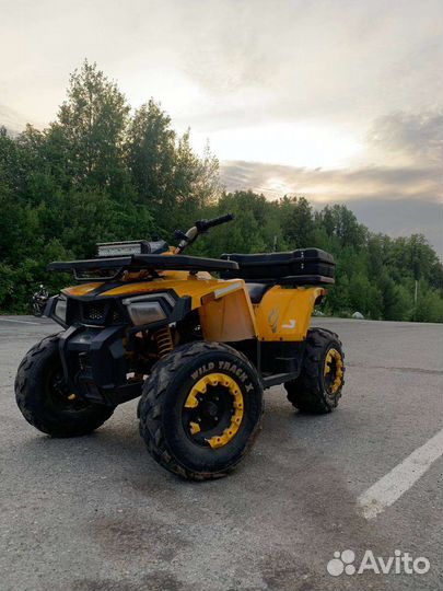 Квадроцикл Motoland wild track 200x