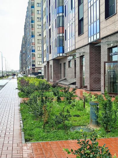 Помещение с Арендатором, 119 м²