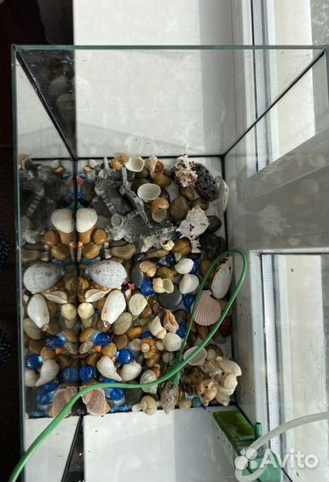 Аквариум