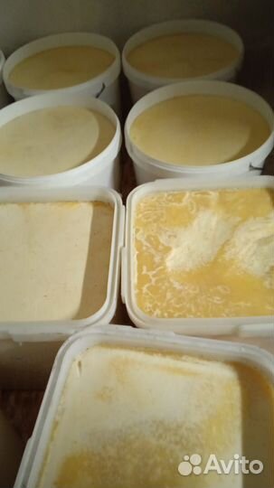 Мёд разнотравье 2023 г