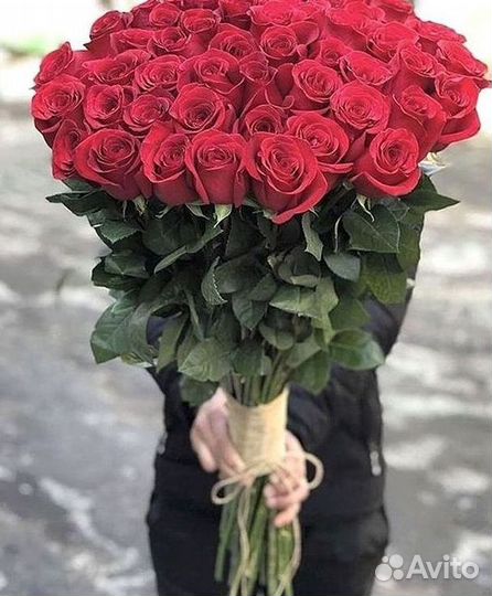 Высокие розы Гигантские розы 110