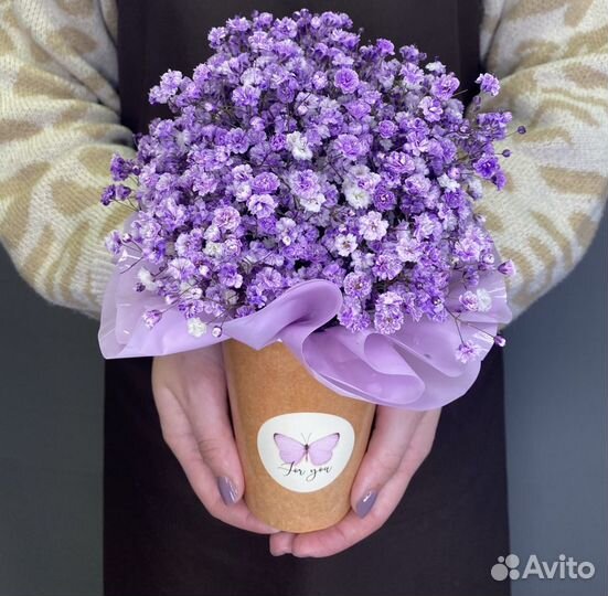 Цветы гипсофила