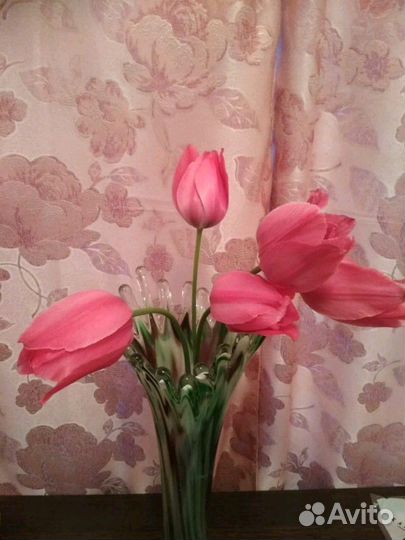 Луковицы тюльпанов