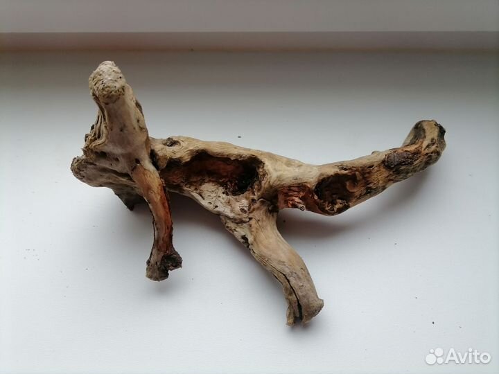 Аквариум кубический