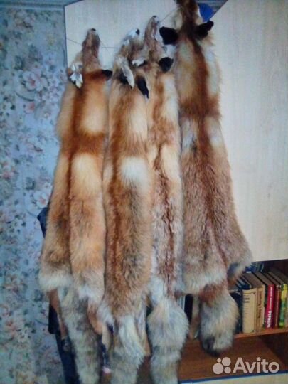 Выделка меха, изготовление чучел зверей и птиц