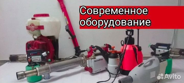 Дезинфекция уничтожение тараканов клопов блох клещ