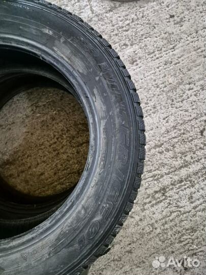 Dunlop Winter Maxx 205/55 R16
