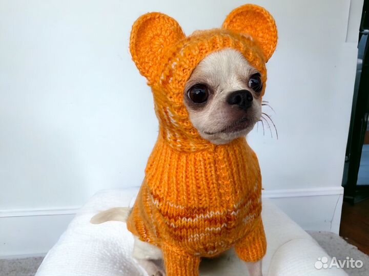 Одежда для кошки или маленькой собаки