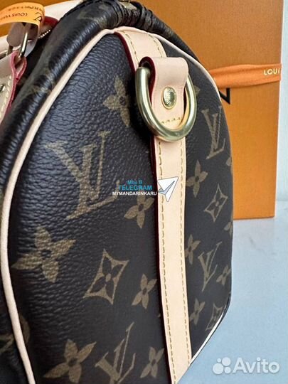 Louis vuitton speedy 25 сумка