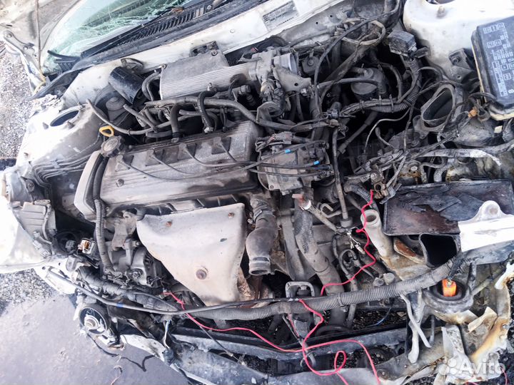 Продам на запчасти Тойота Кариб sprinter