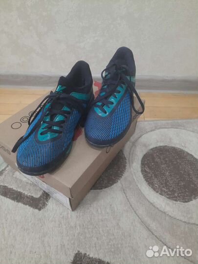 Сороконожки