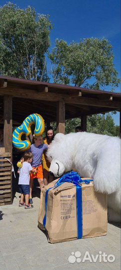 Белый мишка поздравление. Аниматор Медведь