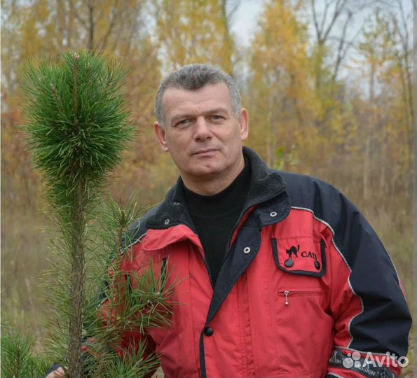 Вскрытие замков дверей авто,квартир,замена,ремонт