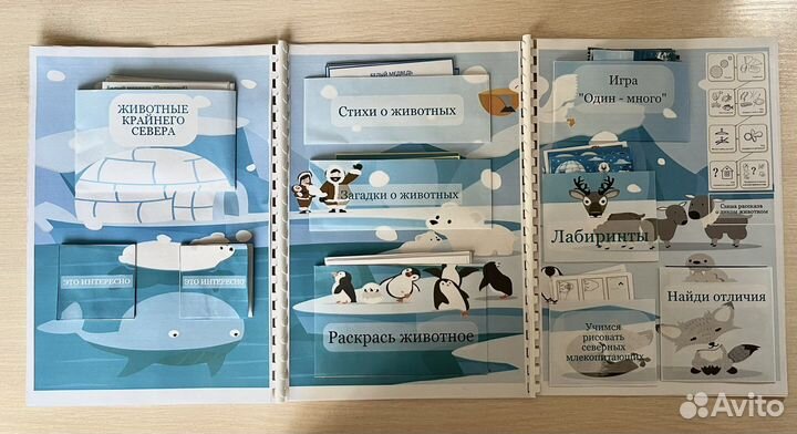 Лэпбук для детей на любую тему