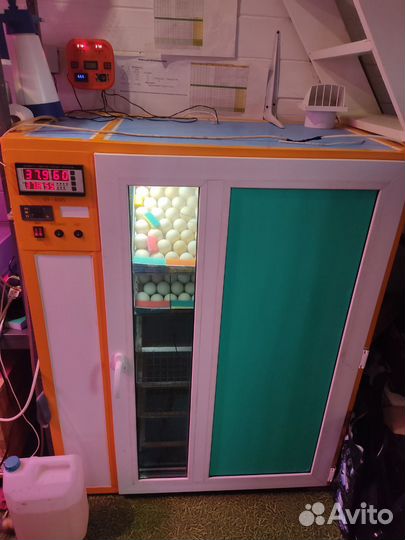 Инкубатор на 800 яйц