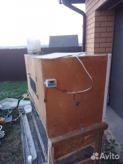 Клетки для перепелов бу