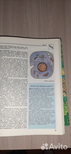 Энциклопедия по биологии