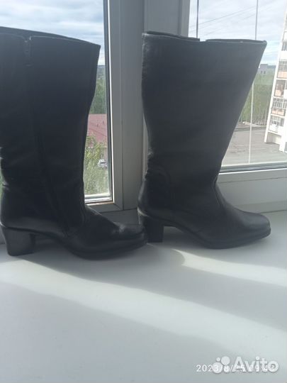 Сапоги женские