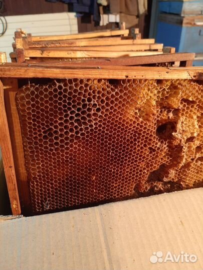 Рамки с вощиной