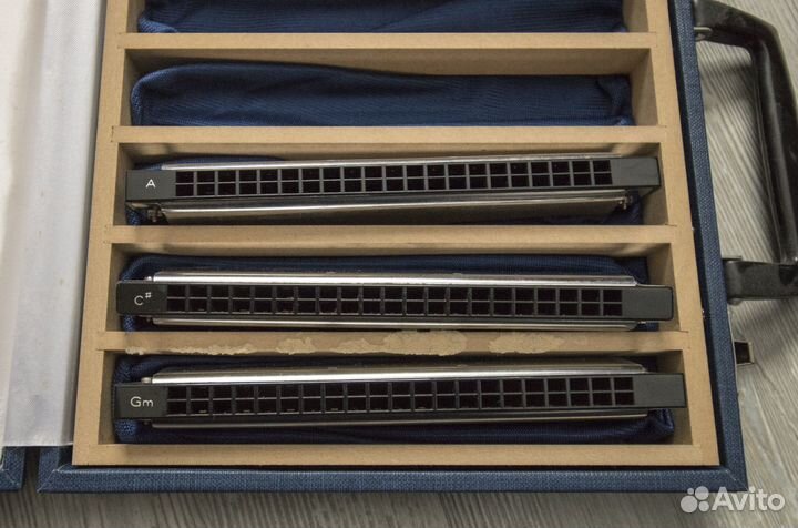 Губные гармошки (тремоло) tombo band 21