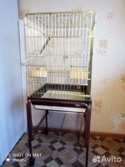 Клетка в отличном состоянии