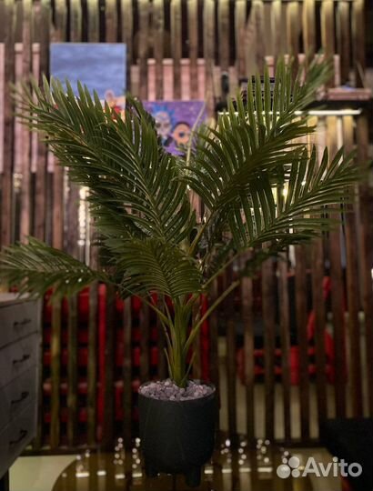 Финиковая пальма искуствФиниковая