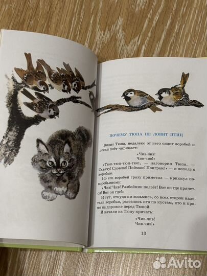 Тюпа томка и сорока Евгений Чарушин