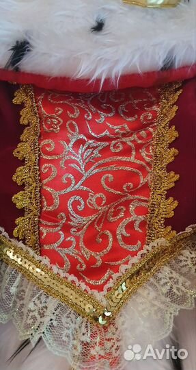 Карнавальные костюм 