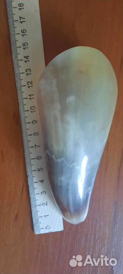 Рог-скребок Гуаша