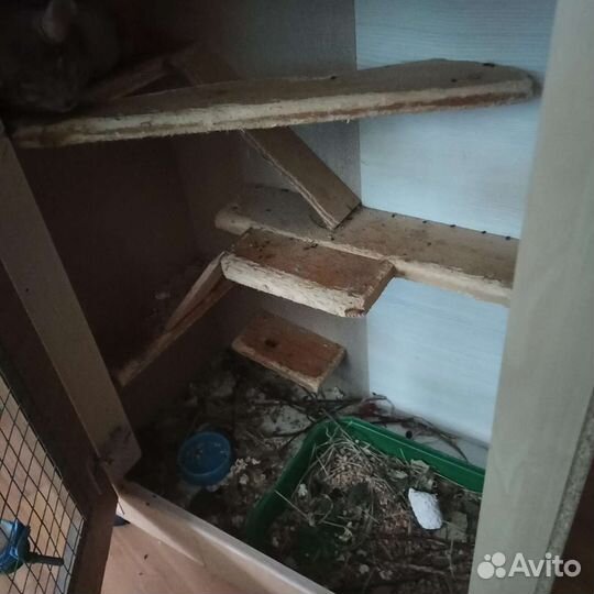 Клетка для грызынов