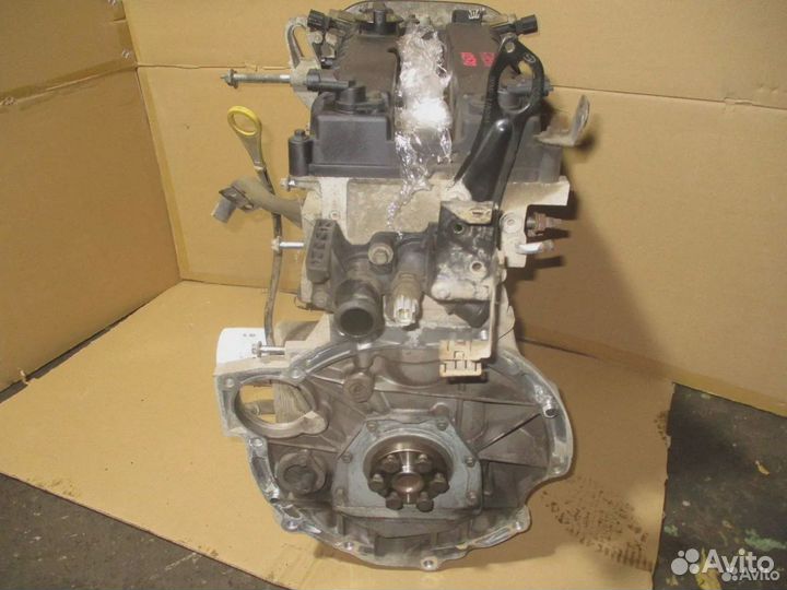 Двигатель Ford Fiesta CB1 hxja hxjb 2009 1,6