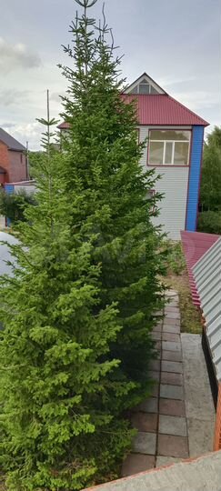 Дом 264,3 м² на участке 15 сот.