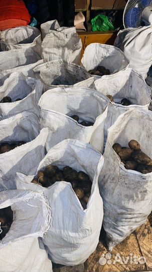 Картофель со своего огорода с доставкой