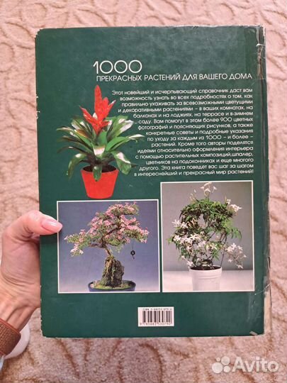 Справочник по уходу за комнатными цветами