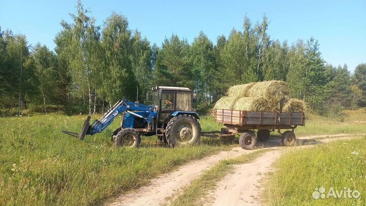 Сено 350кг луговое разнотравие мягкое, свежее