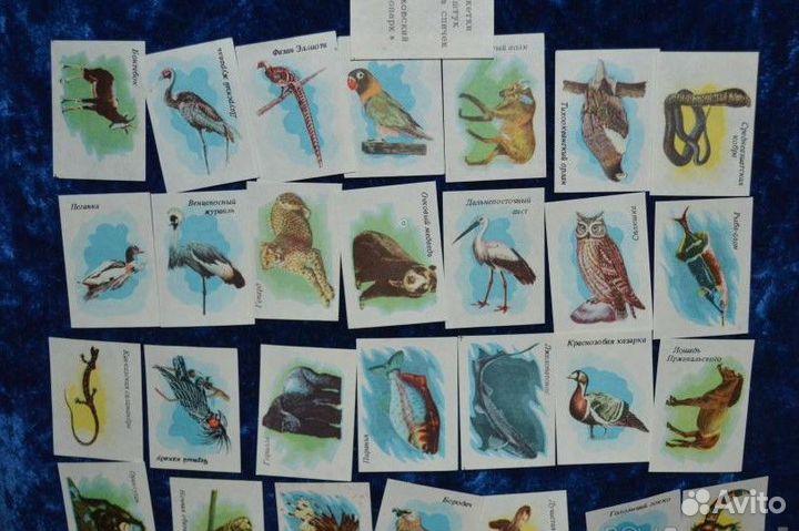 Наборы спичечных этикеток СССР новые
