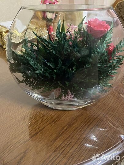 Живые цветы в вакууме