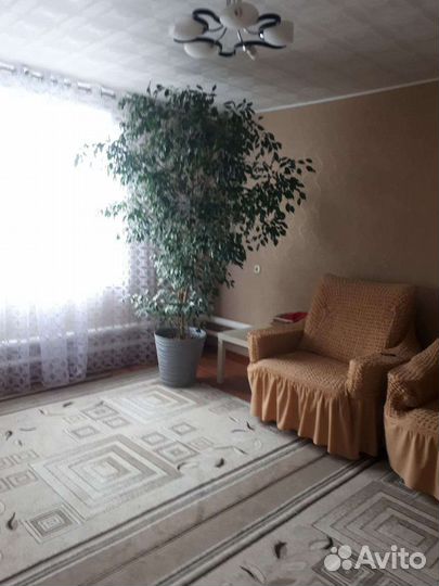 Фикус бенджамина