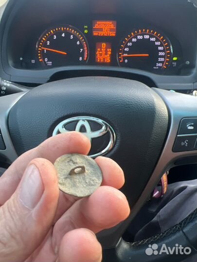 Лютый зверю