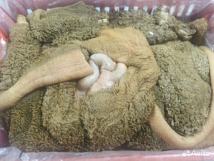 Мясо для собак