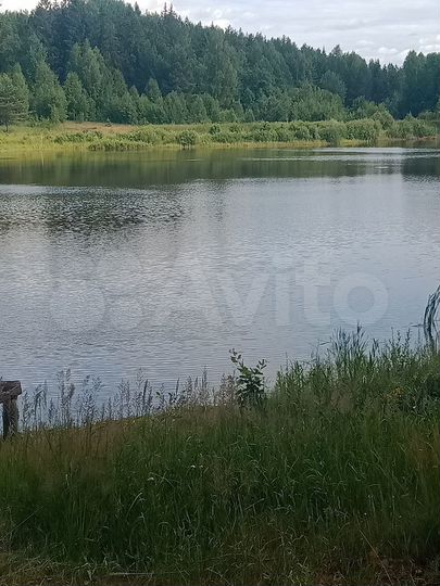 Участок 6 га (СНТ, ДНП)