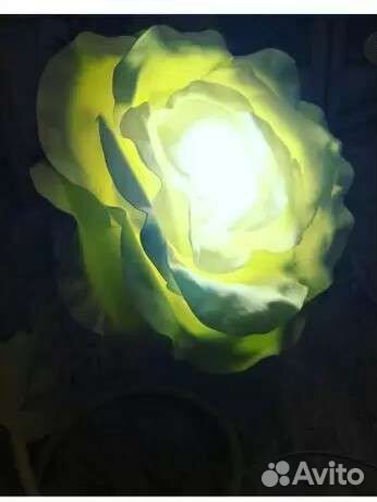 Ростовые цветы светильники